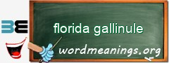 WordMeaning blackboard for florida gallinule